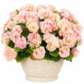 Begonias Artificiales Rosadas en Maceta Decorativa de 35 cm