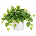 Planta Artificial Verde 60cm en Maceta para Interiores