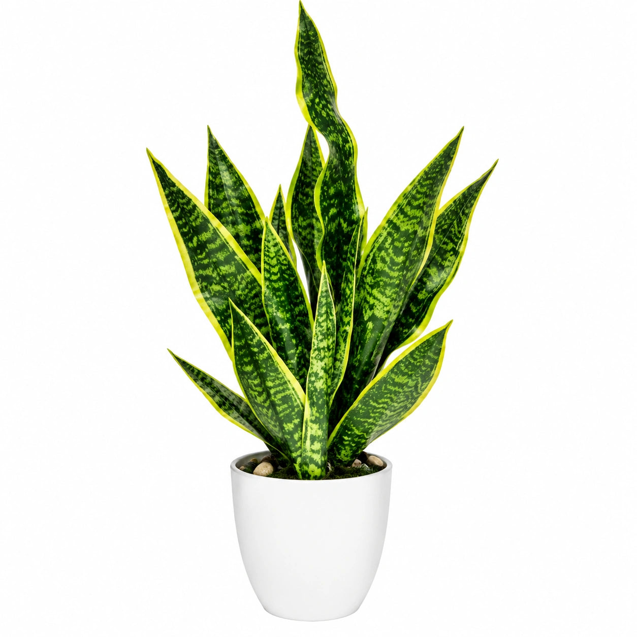 Planta Artificial de Sansevieria en Maceta Blanca Verde y Amarilla 60 cm